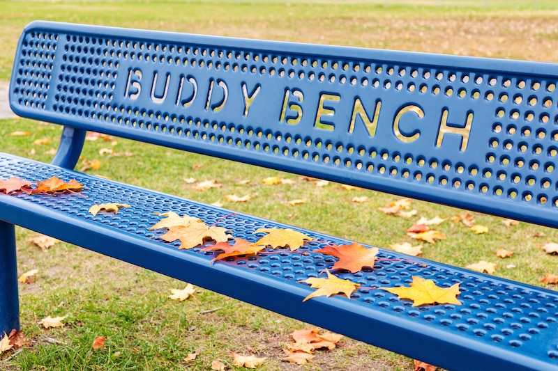 Finding an Autistic Student a Buddy
